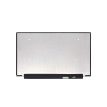 Schermo LED 15.6’’ - 1920x1080 - 30 Pin Destra (Opaco)