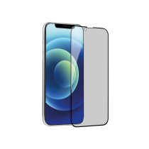 FAIRPLAY PRIVACY Vetro Temperato iPhone XR/11