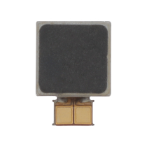 Vibrazione Galaxy S21 Ultra 5G (G998B)
