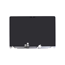 Display Completo Argento MacBook Pro 14 (A2442/A2779/A2992/A2918) (Senza Logo)