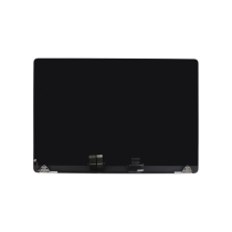 Display Completo Argento MacBook Pro 16 (A2485/A2780/A2991) (Senza Logo)