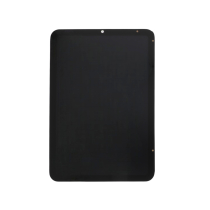 Schermo Completo iPad Mini 6/7 (WiFi/Cellulare)