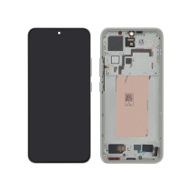 Display Completo Argento Xiaomi 15 5G