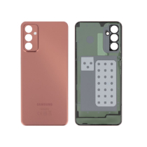 Vetro Posteriore Arancione Galaxy M23 5G (M236B)