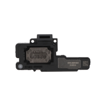 Auricolare interno Galaxy S22+ (S906B)