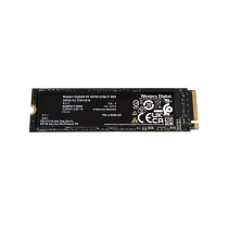 Western Digital SSD M2 NVMe (256 GB) (Ricondizionato)